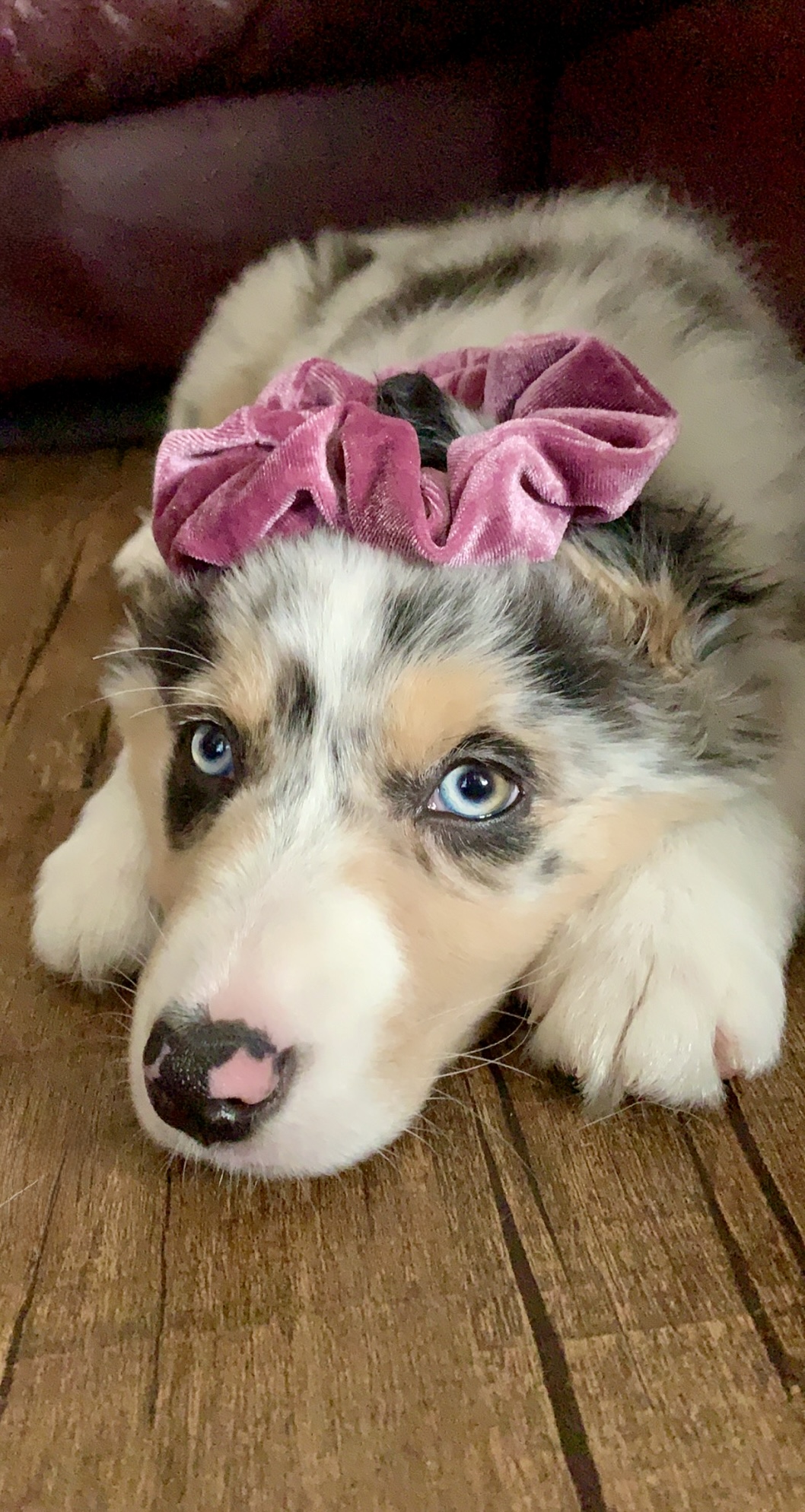 Kira with pink scrunchie